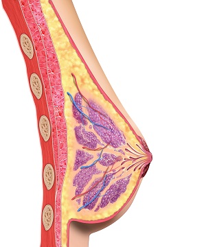 Atypical Changes in the Breast Tissue Dublin, IE, Breast Inflammation  Dublin